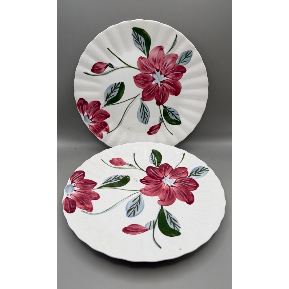 Blue Ridge Pottery Fluted Floral Pattern Dinner Plates Set of 2 10-1/4"